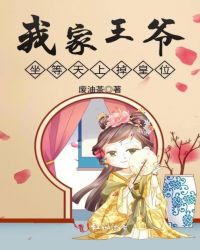 我家王爷坐等天上掉皇位章节列表