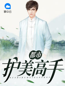 都市护美高手章节列表