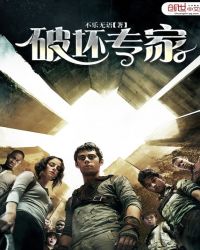 破坏专家章节列表