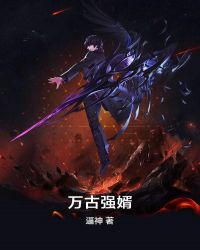 万古强婿章节列表