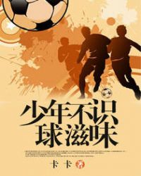 少年不识球滋味章节列表