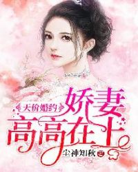 天价婚约：娇妻高高在上章节列表