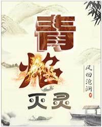 青焰灭灵章节列表