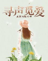 寻声觅爱章节列表