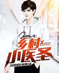 乡村小医圣章节列表