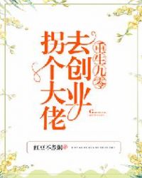 重生九零：拐个大佬去创业章节列表