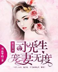 萌宝有双：司先生宠妻无度章节列表