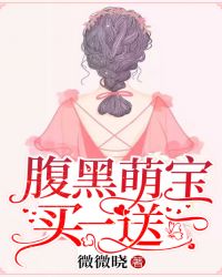 腹黑萌宝，买一送一章节列表