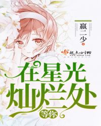 在星光灿烂处等你章节列表