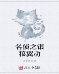 名侦之银狼翼动章节列表