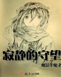 寂静的守望章节列表