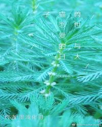兽世:与大猫恋爱的日子章节列表