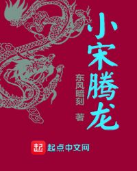 小宋腾龙章节列表