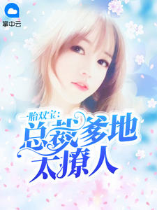 一胎双宝：总裁爹地太撩人章节列表