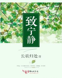 致宁静章节列表