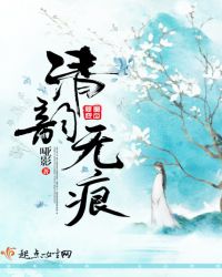 清韵无痕章节列表