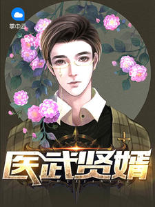 医武贤婿水门绅士章节列表