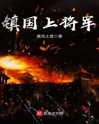 镇国上将军章节列表