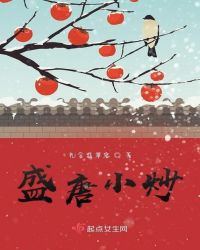 盛唐小炒章节列表