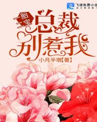 一胎二宝：总裁别惹我章节列表