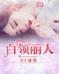 白领丽人章节列表