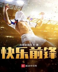 快乐前锋章节列表