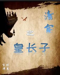 清穿之皇长子章节列表