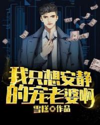 我只想安静的宠老婆啊章节列表