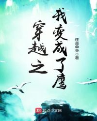 穿越之我变成了鹰章节列表