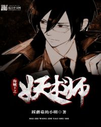 海贼王之妖术师章节列表