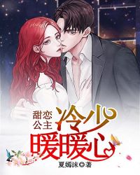 甜恋公主：冷少暖暖心章节列表