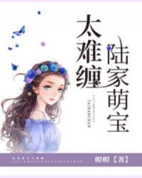 陆家萌宝太难缠章节列表