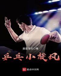 乒乓小旋风章节列表