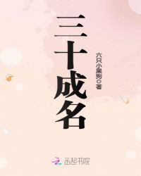 三十成名章节列表