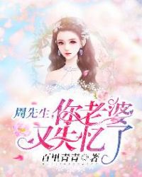 周先生，你老婆又失忆了章节列表