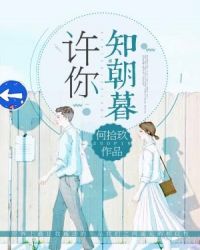 许你知朝暮章节列表