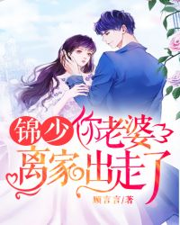 锦少：你老婆离家出走了章节列表