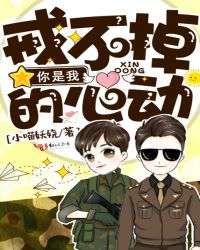 首长夫人这职业章节列表