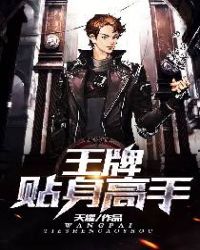 王牌贴身高手章节列表