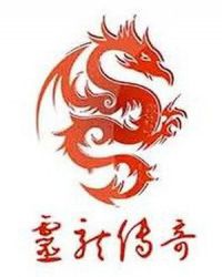 灵龙传奇章节列表