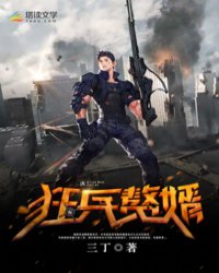 狂兵赘婿章节列表