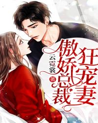 傲娇总裁狂宠妻章节列表