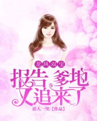 龙凤双宝：报告，爹地又追来了章节列表