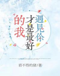 遇见你，才是最好的我章节列表