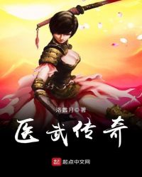医武传奇章节列表