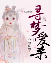 寻梦爱杀章节列表