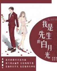 我是先生的白月光章节列表