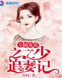 专属宠爱之二少追妻记章节列表