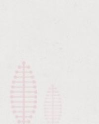 重生八零之女神新衣章节列表