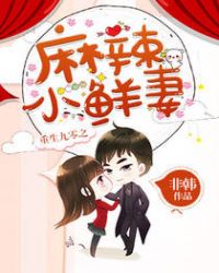 重生九零之麻辣小鲜妻章节列表